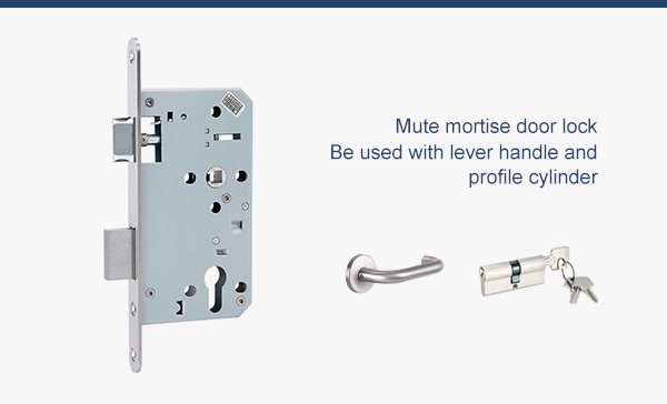 Mute mortise lock